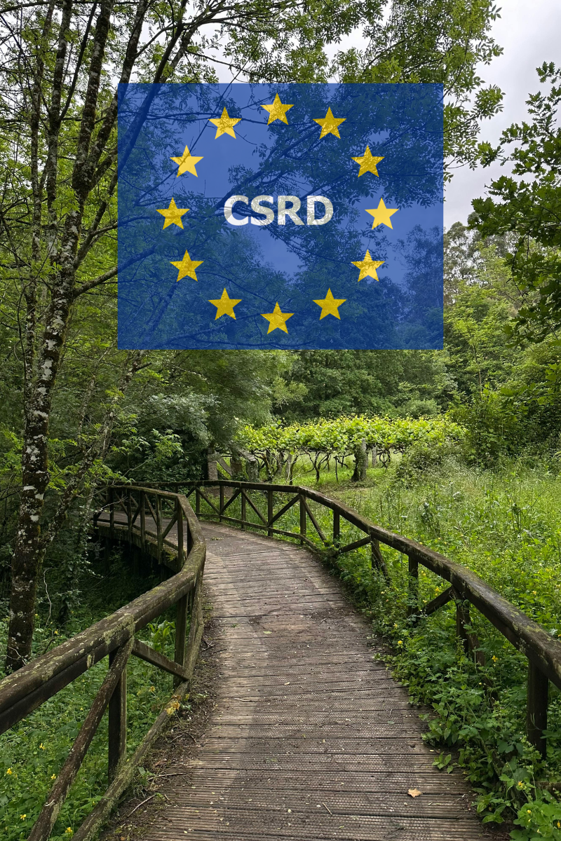 Primera ola de reporting bajo CSRD: aprendizajes clave y retos comunes